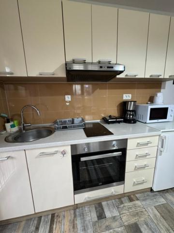 Apartments Paradise Licko Petrovo Selo Екстериор снимка