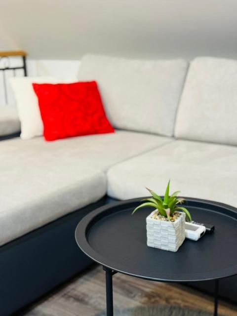 Apartments Paradise Licko Petrovo Selo Екстериор снимка