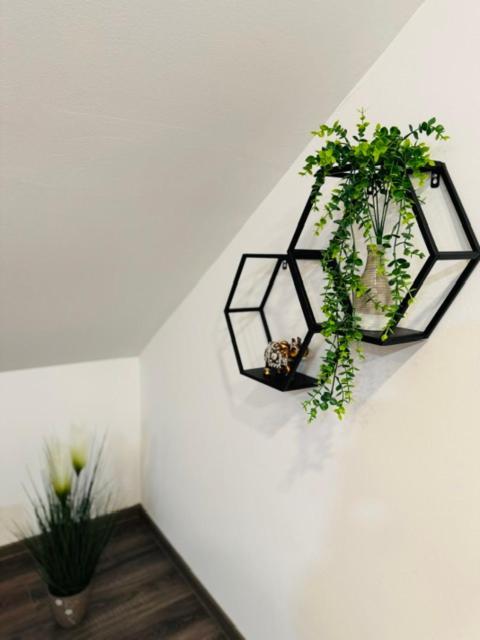 Apartments Paradise Licko Petrovo Selo Екстериор снимка