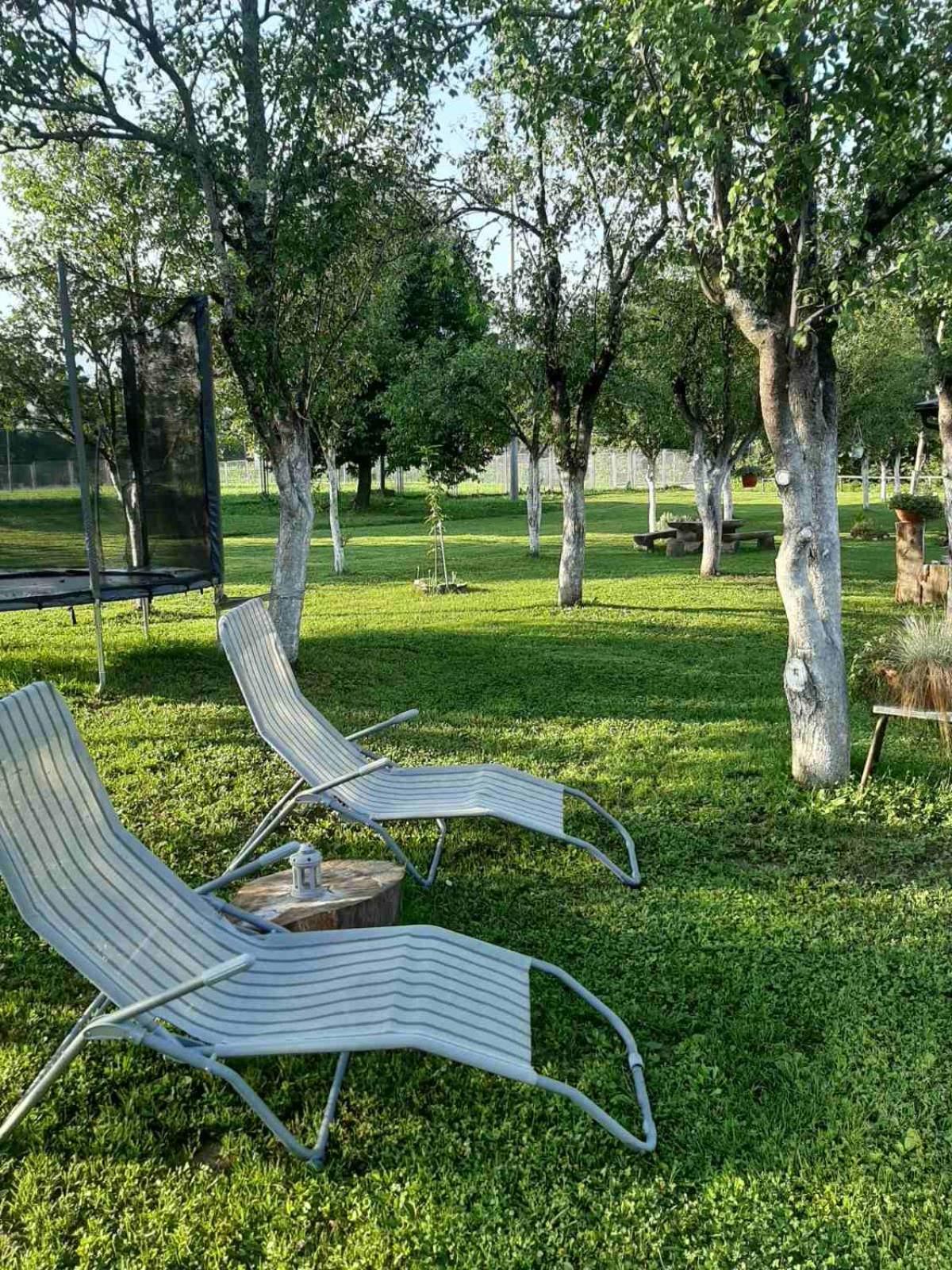 Apartments Paradise Licko Petrovo Selo Екстериор снимка